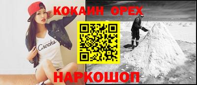 индика Камышлов