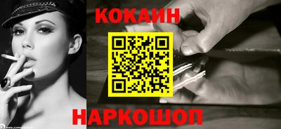 индика Камышлов