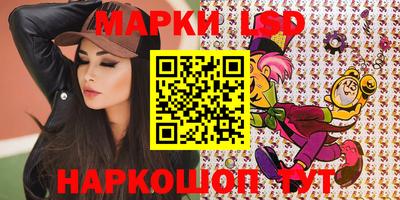 индика Камышлов