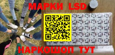 индика Камышлов
