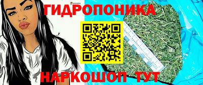 стафф Канаш