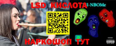 индика Камышлов