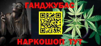 индика Камышлов