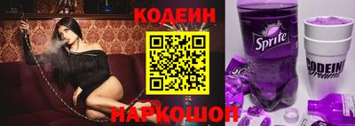 индика Камышлов