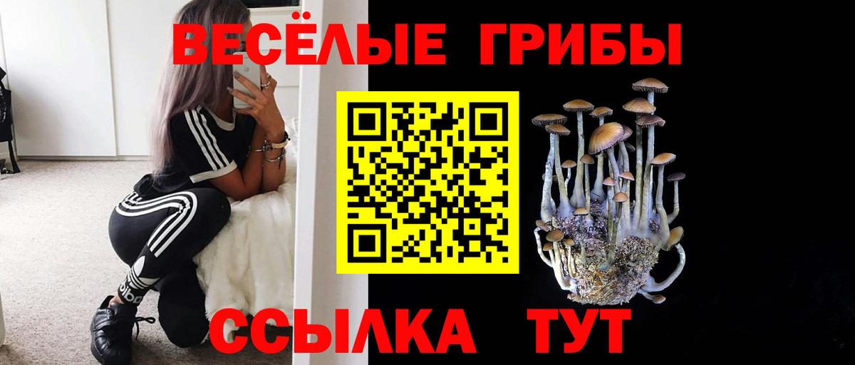 Галлюциногенные грибы прущие грибы Кстово
